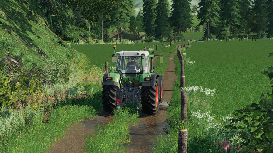 Holzer Map v1.0.1 FS 19