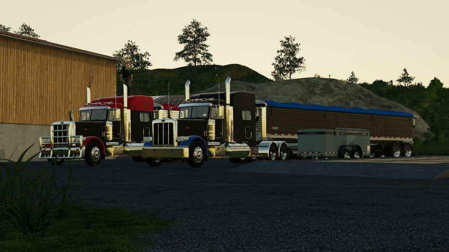 Peterbilt 389 2008 v1.0 FS 19